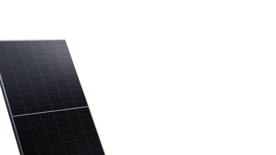 Netolar NetSolar — FAQ Catalog
