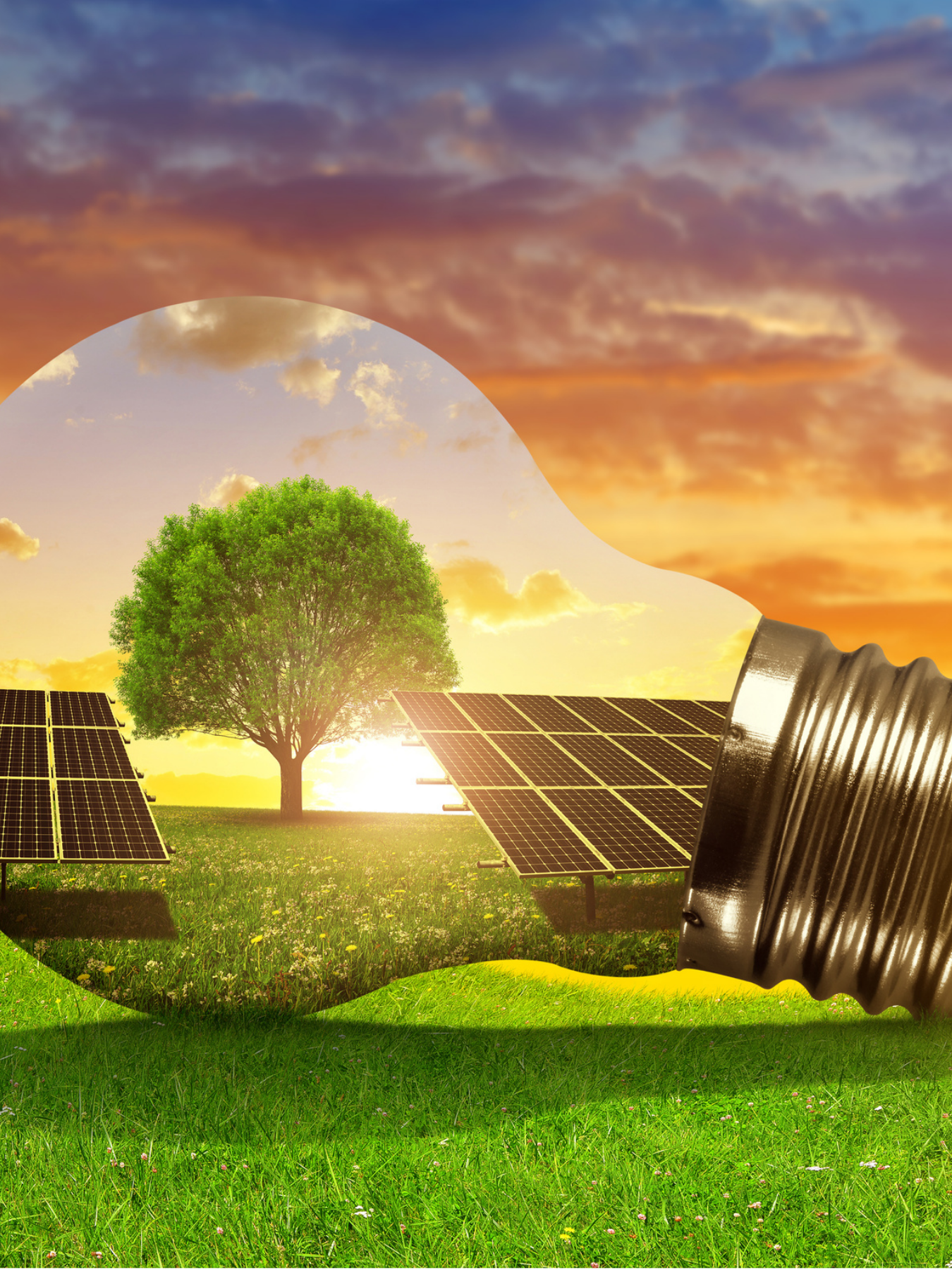 What are the benefits of Solar Energy? – NetSolar solar FAQ illustration