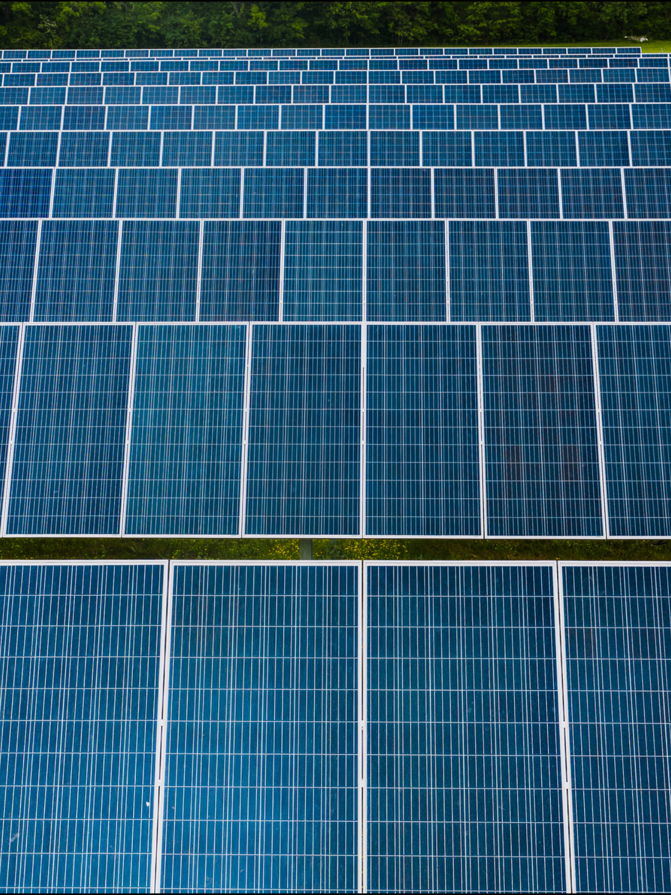 What size solar energy system should I get? – NetSolar solar FAQ illustration