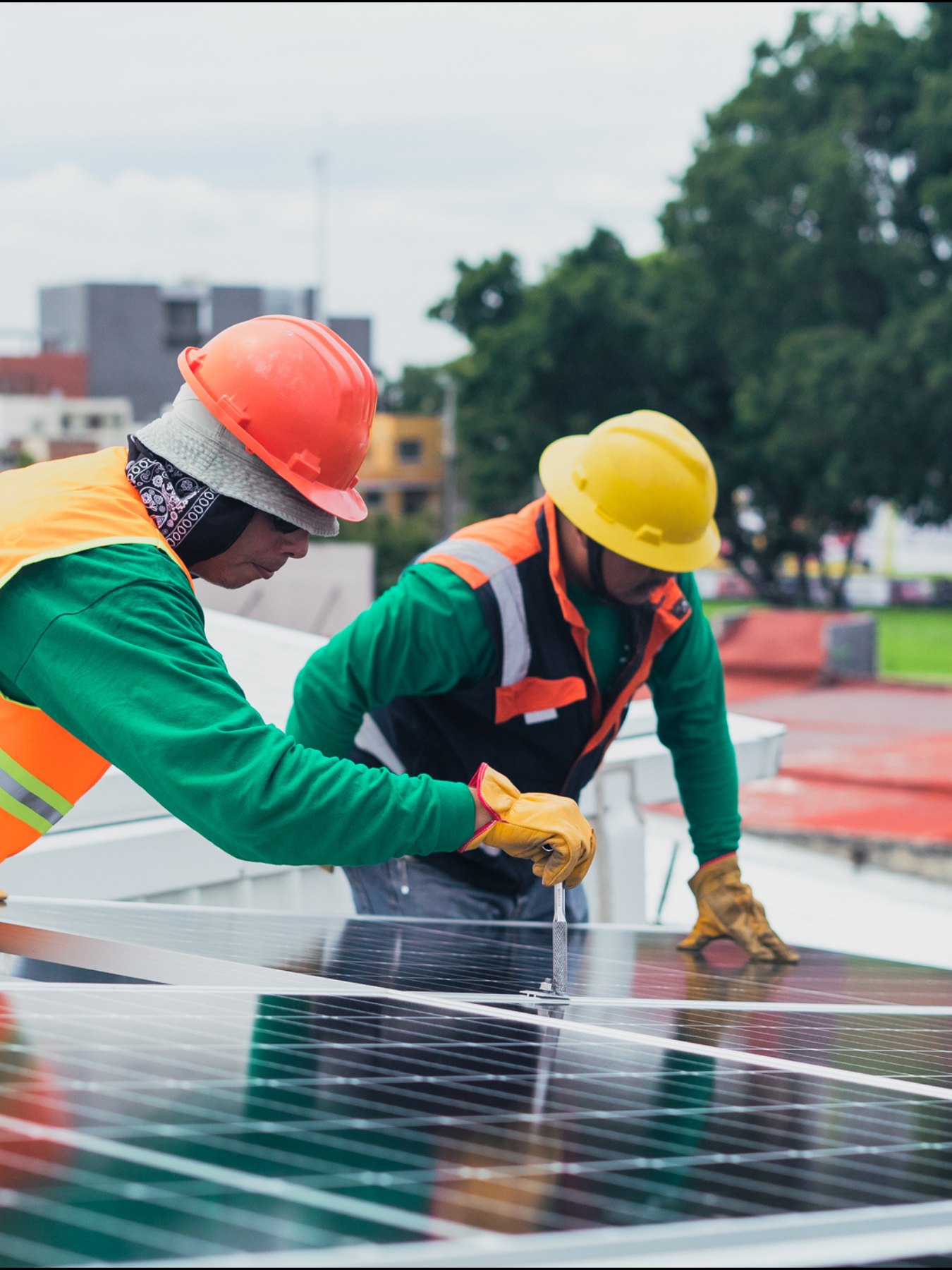 What do I look for in a supplier? – NetSolar solar FAQ illustration